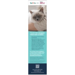 BANNER KATTENVERZEKERING 